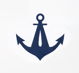 AVS Marine current logo